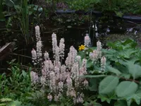 DSCF3796.webp