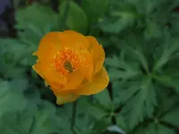 DSCF3797.webp