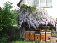 DSCF3790.webp
