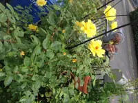 image.webp