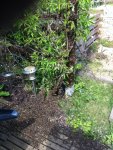 IMG-20150514-WA0000.jpg