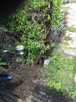 IMG-20150514-WA0000.webp
