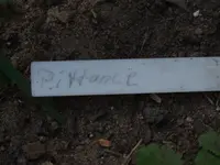 DSCF3786.webp