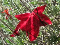 IMG_9471 v.webp