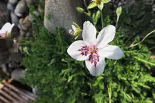 DSCF0876 (2).webp