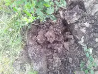 pflanze_loch.webp
