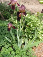 010.webp