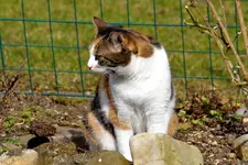 DSC_2243.webp