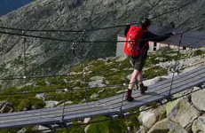 Catwalk.webp