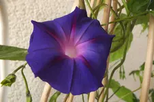 DSCF0880.webp
