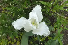 DSCF0892.webp