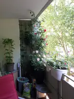 20150516_091449.webp