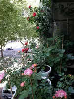 20150516_091758.webp