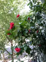 20150516_091807.webp