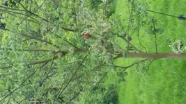20150516_131147.webp