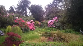 IMG-20150516-WA0017.webp