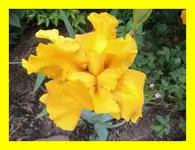 DSCI0008.webp