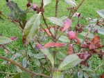 20150516_130131.jpg
