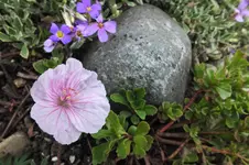 DSCF0888 (2).webp