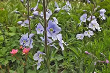 DSCF0912 (2).webp