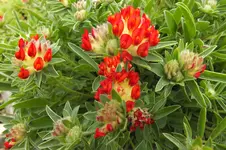 DSCF0918.webp