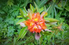 DSCF0923 (2).webp