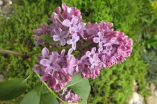 DSCF0924.webp