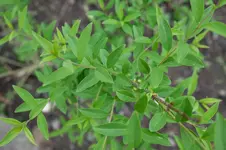 DSCF4909.webp