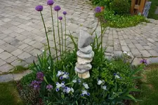 DSC01117.webp
