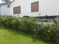kl02.webp