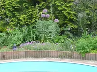 Poolbeet2 17.5..webp
