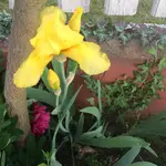 image.webp