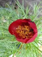 007_576x768.webp