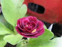 004_1024x768.webp