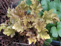 012_1024x768.webp