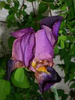 k-DSCI3325.webp