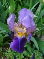 k-DSCI3326.webp