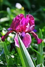 DSC_4464.webp