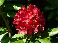 P1060135.webp