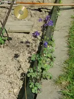 P1060156.webp