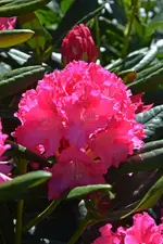 DSC_4449.webp