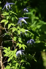 DSC_4465.webp