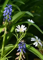 DSC_4477.webp