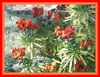 054.webp