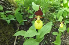 DSCF0808.webp