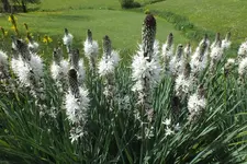 DSCF0802.webp