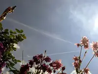 k-P1090202.webp