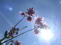 k-P1090203.webp