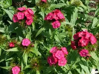 k-P1090221.webp