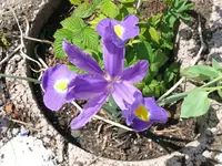 k-P1090227.webp